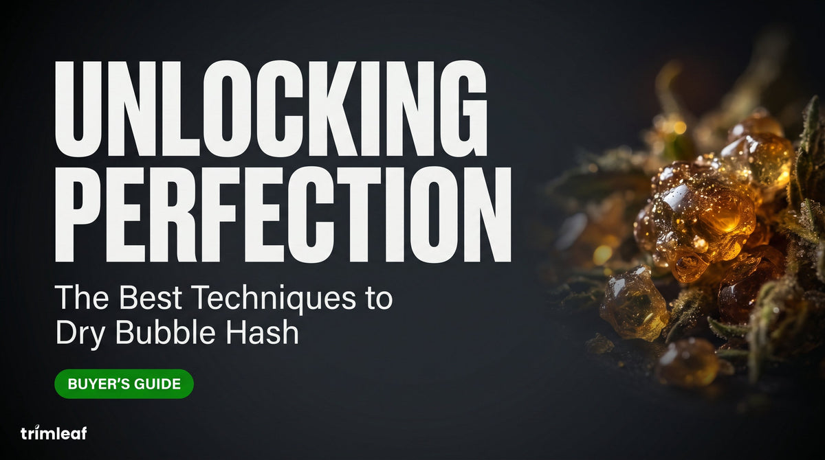 Unlocking Perfection: The Best Techniques to Dry Bubble Hash