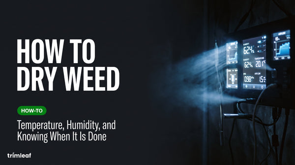 Cover image for "How to Dry Weed: Temperature, Humidity, and Knowing When It Is Done": Trimleaf blog