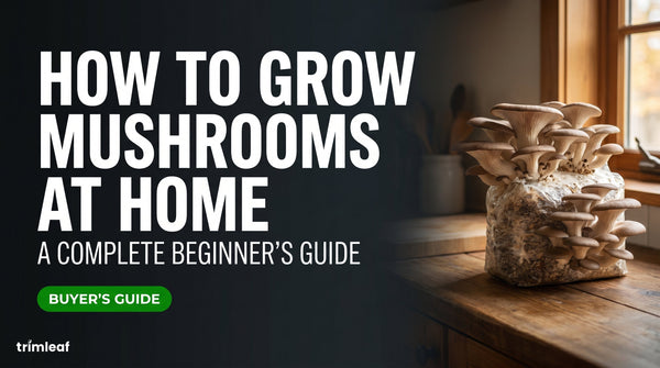 Cover image for "How to Grow Mushrooms at Home: A Complete Beginner's Guide": Trimleaf blog
