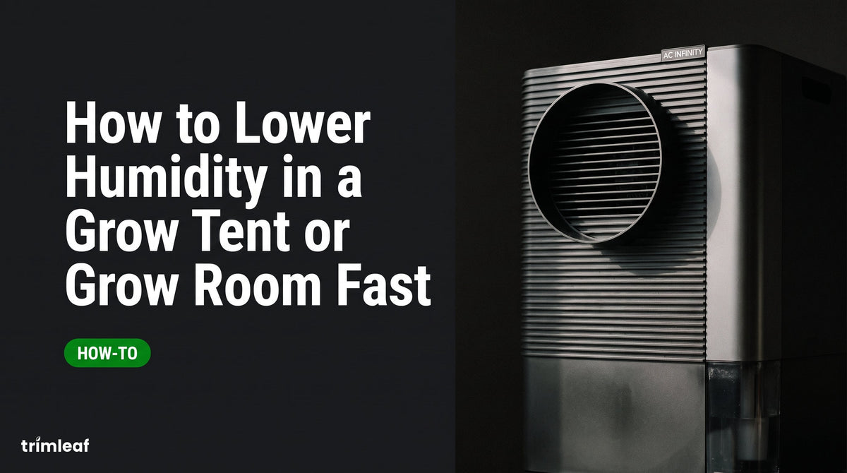 Cover image for "How to Lower Humidity in a Grow Tent or Grow Room Fast": Trimleaf blog