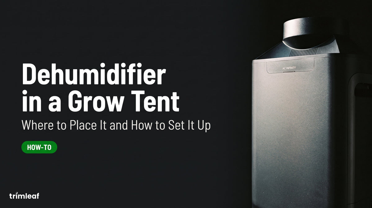 Cover image for "Dehumidifier in a Grow Tent: Where to Place It and How to Set It Up": Trimleaf blog