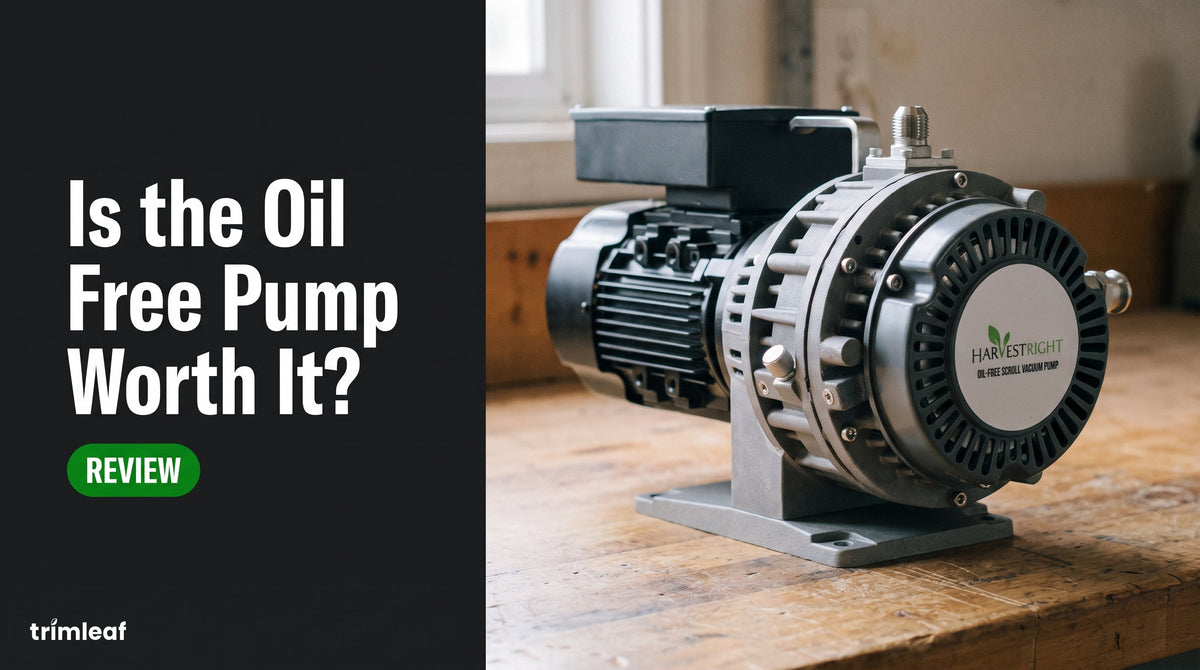 Cover image for "Is the Oil Free Pump Worth It?": Trimleaf blog