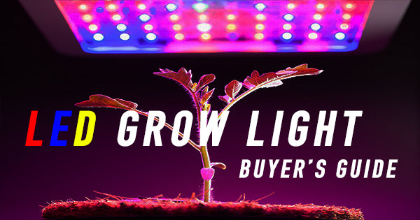 Growing Indoors with LED Grow Lights? Here are 4 Things to Consider