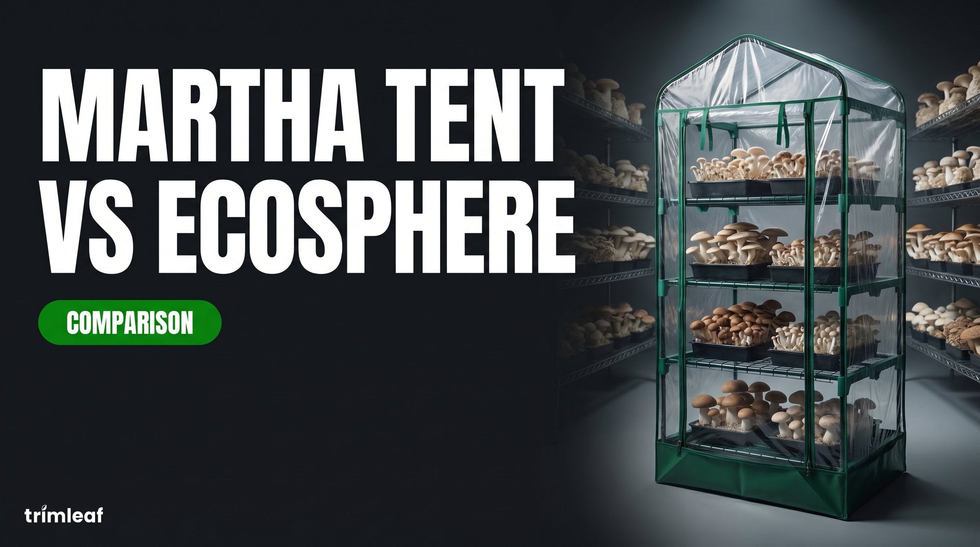 Cover image for "Martha Tent vs Ecosphere": Trimleaf blog