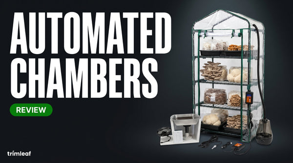 Cover image for "Automated Chambers": Trimleaf blog