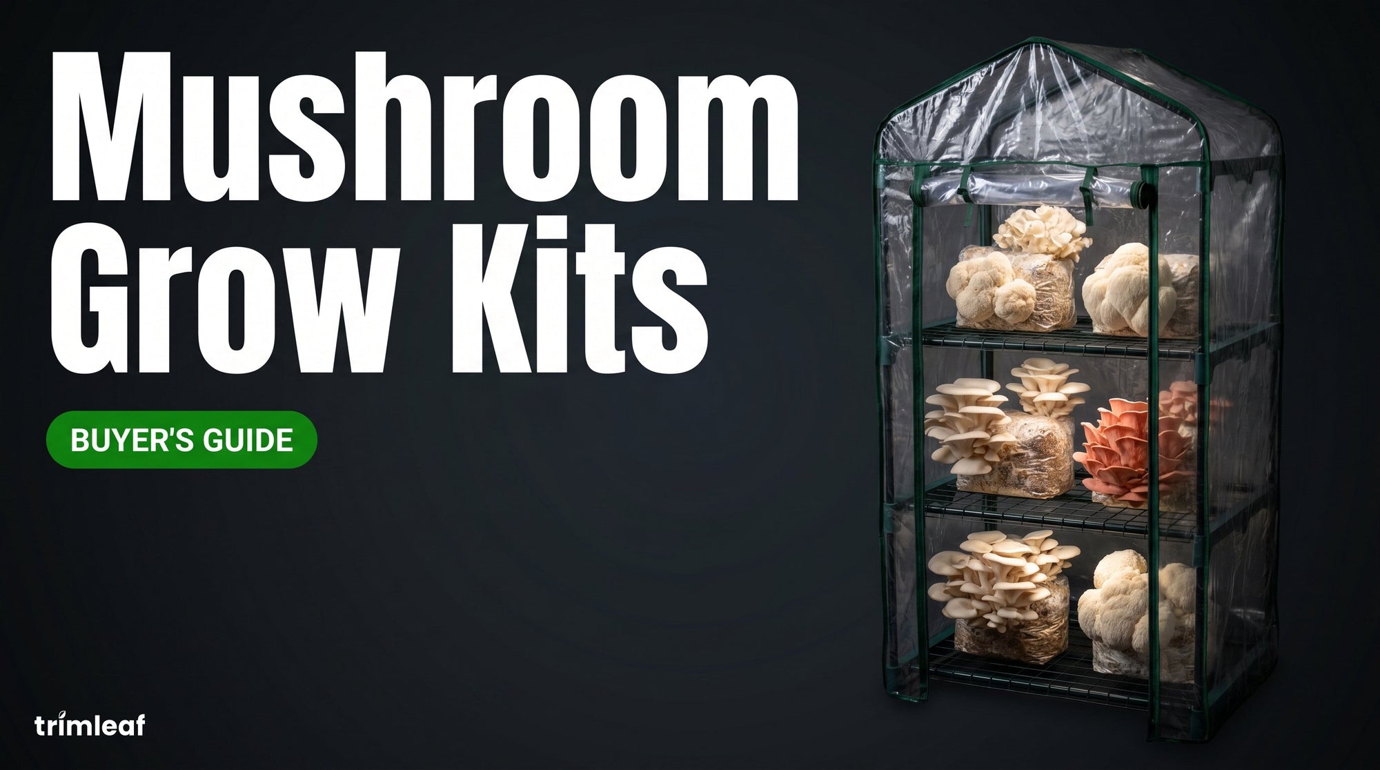 Cover image for "Mushroom Grow Kits": Trimleaf blog