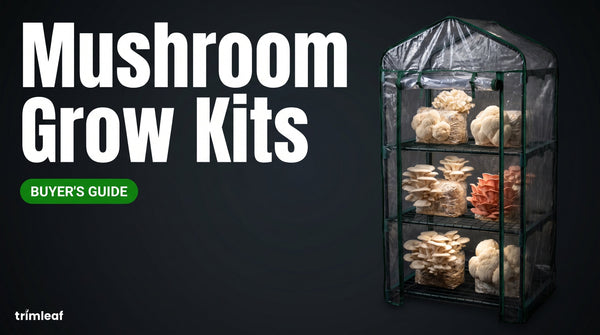Cover image for "Mushroom Grow Kits": Trimleaf blog