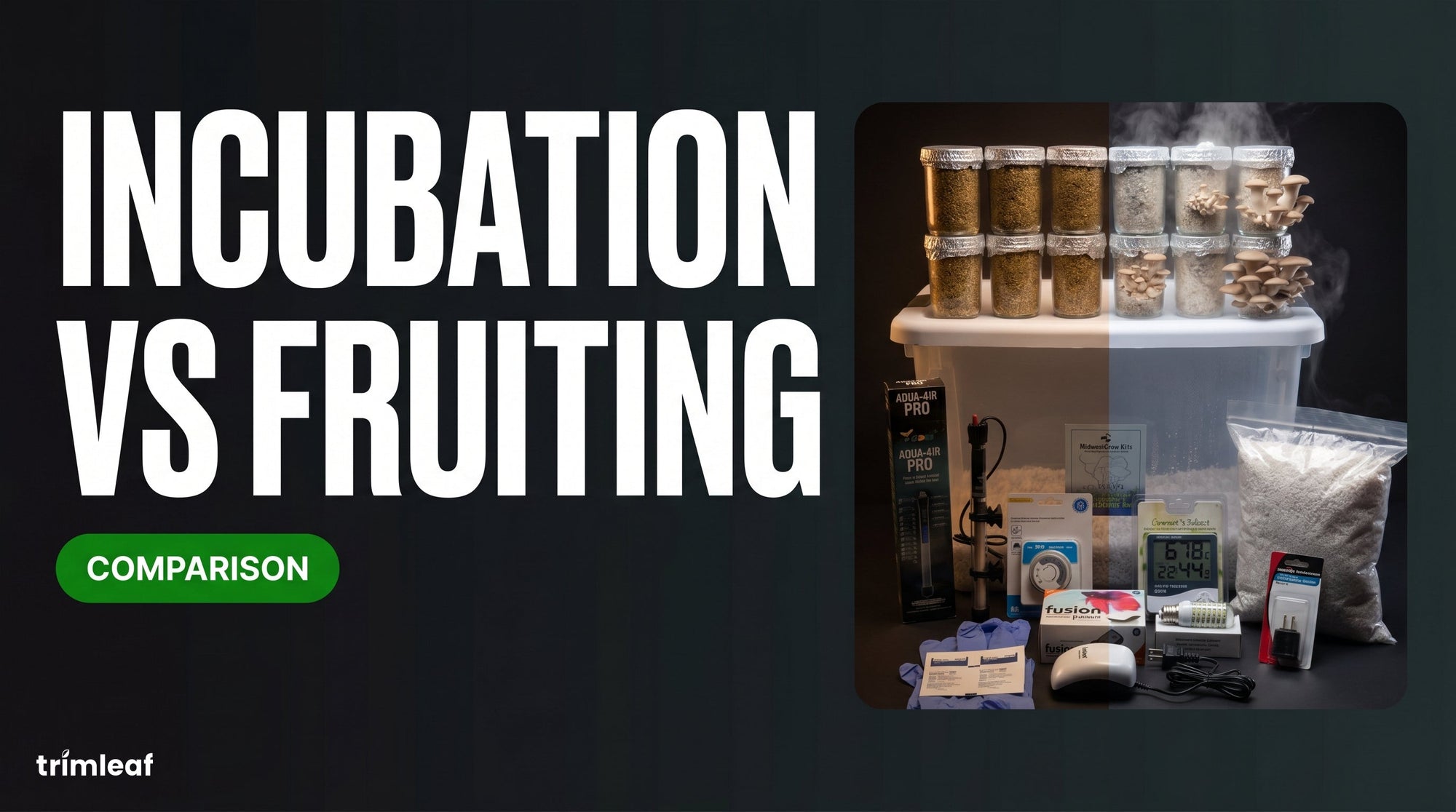 Cover image for "Incubation vs Fruiting": Trimleaf blog
