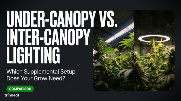 Cover image for Under-Canopy vs. Inter-Canopy Lighting: Which Supplemental Setup Does Your Grow Need?