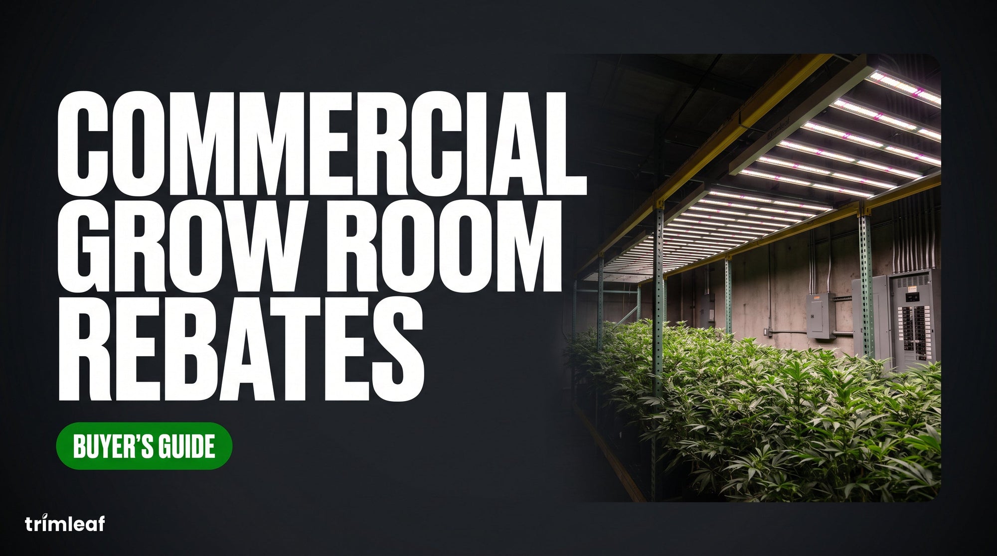 Cover image for "Commercial Grow Room Rebates": Trimleaf blog