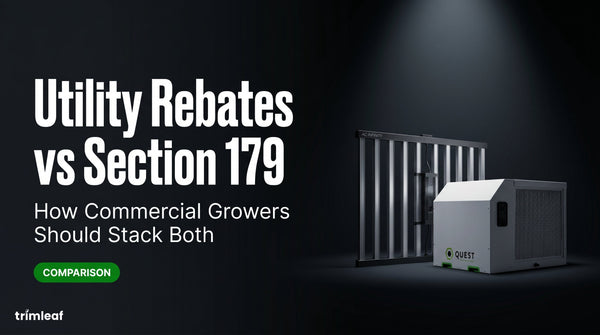 Cover image for "Utility Rebates vs Section 179: How Commercial Growers Should Stack Both": Trimleaf blog