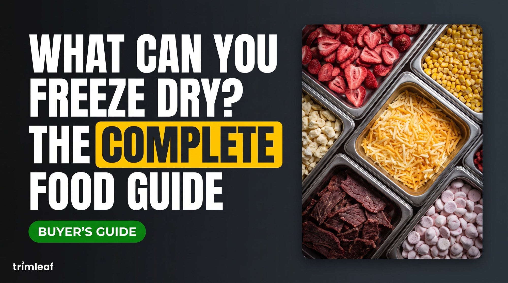 Cover image for \"What Can You Freeze Dry? The Complete Food Guide\": Trimleaf blog