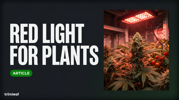 Cover image for Red Light for Plants: Trimleaf blog