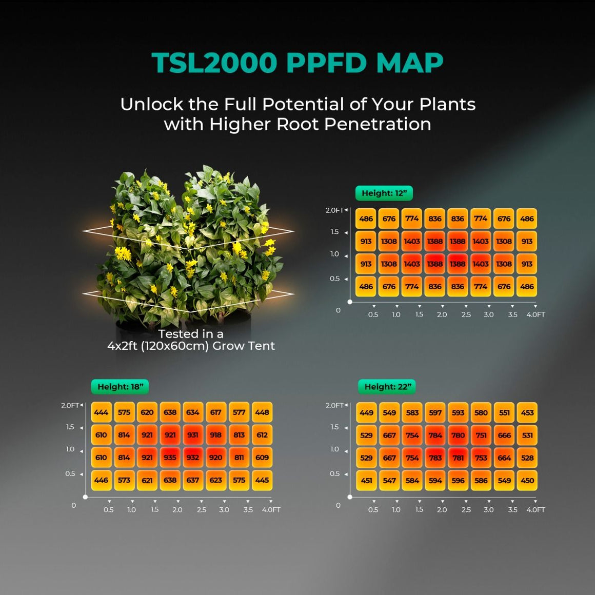 TSL2000 PPFD map shows plant light distribution at 12", 18", and 22" heights in a 4x2ft grow tent.