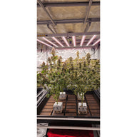 TotalGrow Solark KC 900W LED Grow Light | 4-Channel Spectrum Control