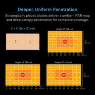 AC Infinity Ionboard S24 LED grow light PAR map showing uniform canopy penetration at different heights.