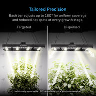 AC Infinity Ionprime 1000W LED grow light: Tailored vs. dispersed light for plants.