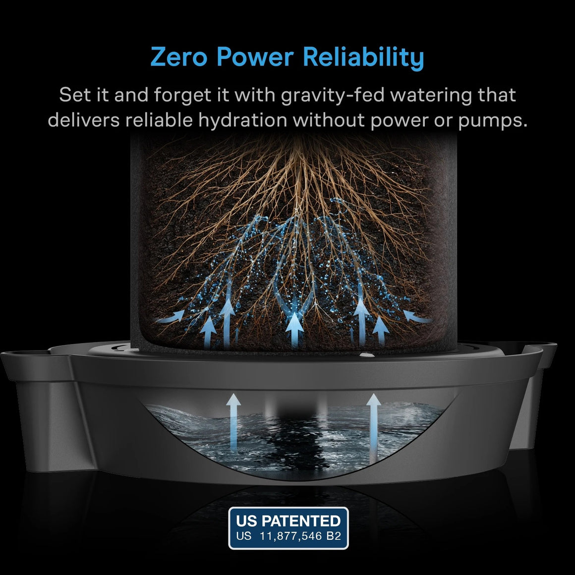 Self-watering pot with roots absorbing water from a reservoir below via upward arrows.