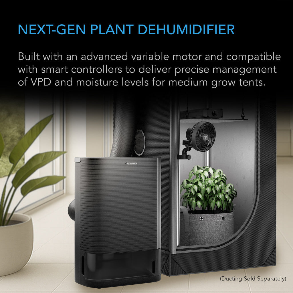 spider plant dehumidifier HYDRONE 5, Plant Dehumidifier with 10 Drying Levels, All Climate Performance, up to 5x5