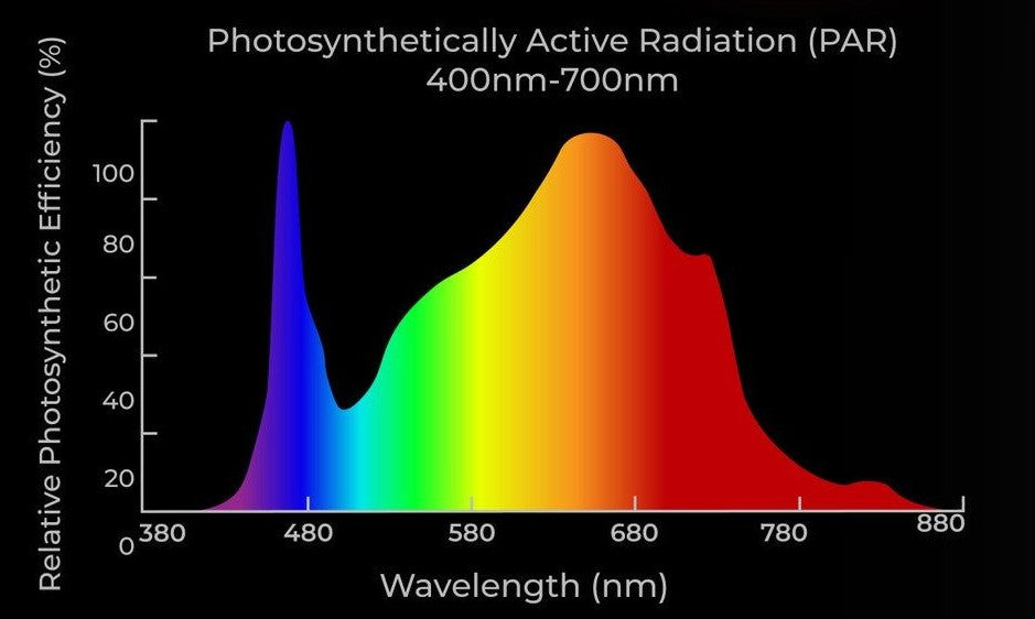PAR spectrum of AC Infinity Ionboard S22 grow light showing peak efficiency at blue and red wavelengths.
