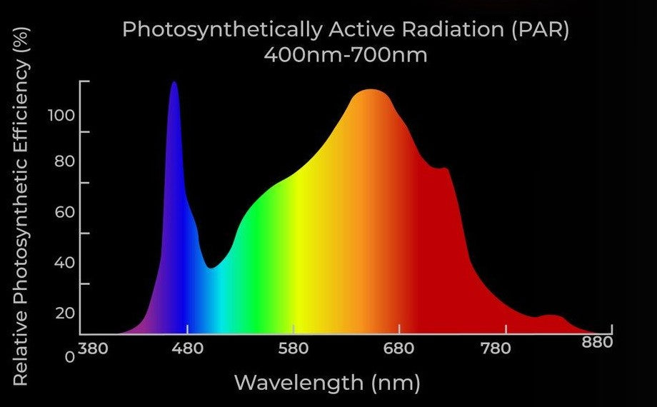 PAR spectrum for AC Infinity Ionboard S44 400W grow light. Shows peaks in blue and red light for plant growth.