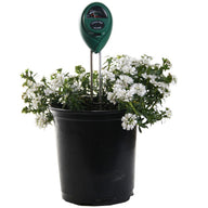 A green 3-way meter with a gauge is inserted into a black pot of white blooming flowers.