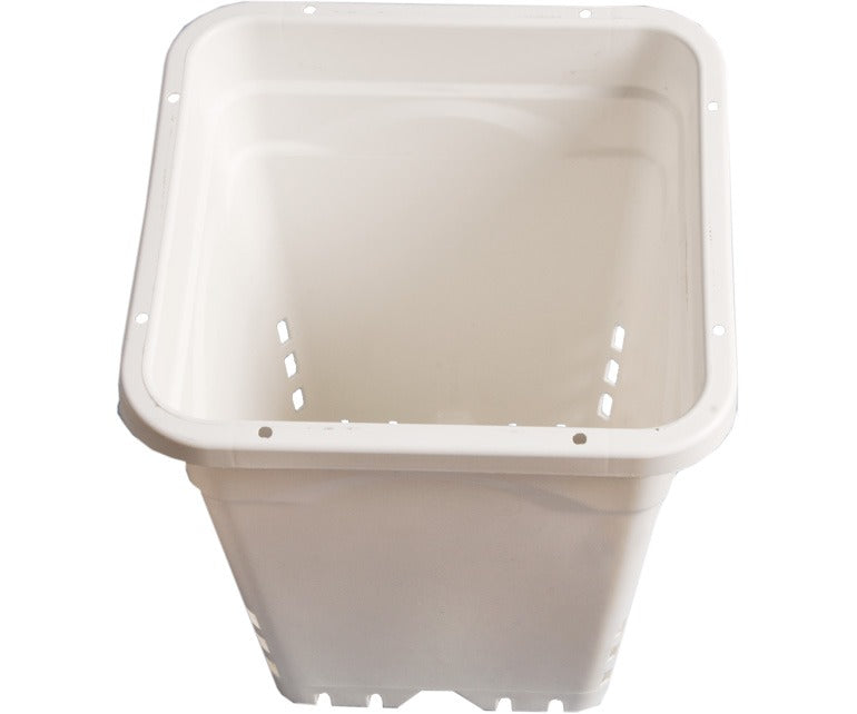 White plastic grow pot with drainage holes.