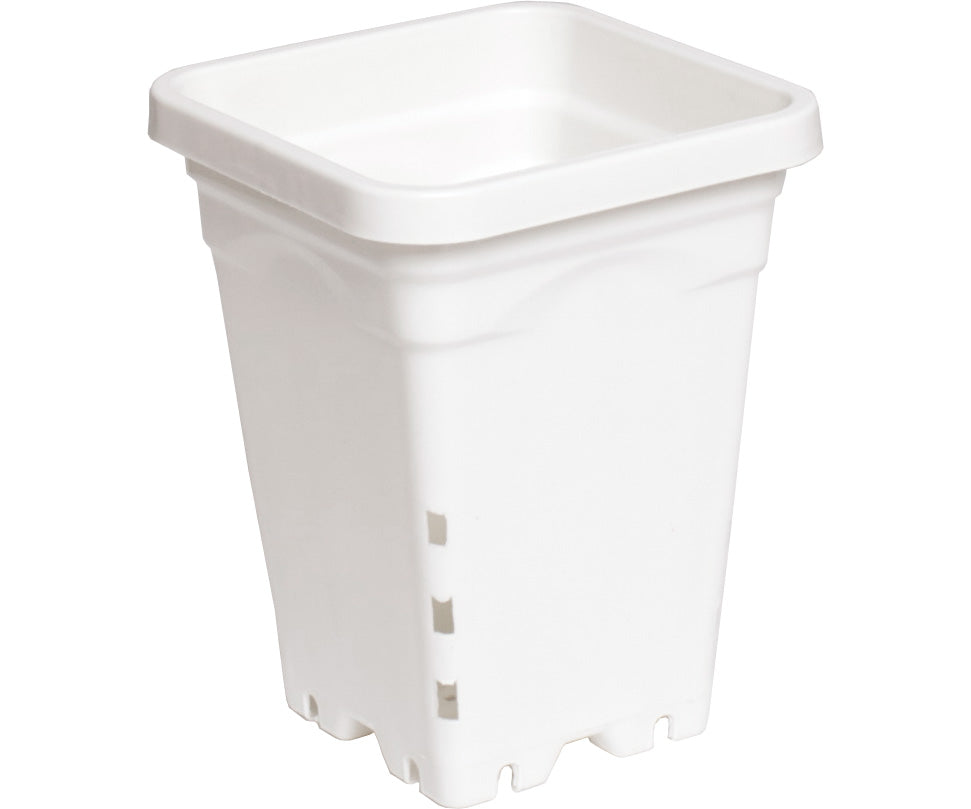 White plastic square grow pot with drainage holes and flared rim.