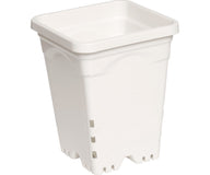 White plastic square plant pot with a flared rim and drainage holes.