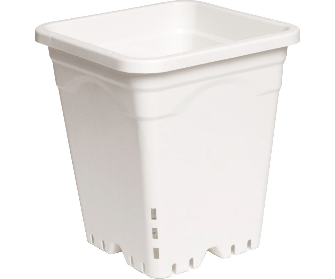 White square plastic pot with drainage holes and a lip.