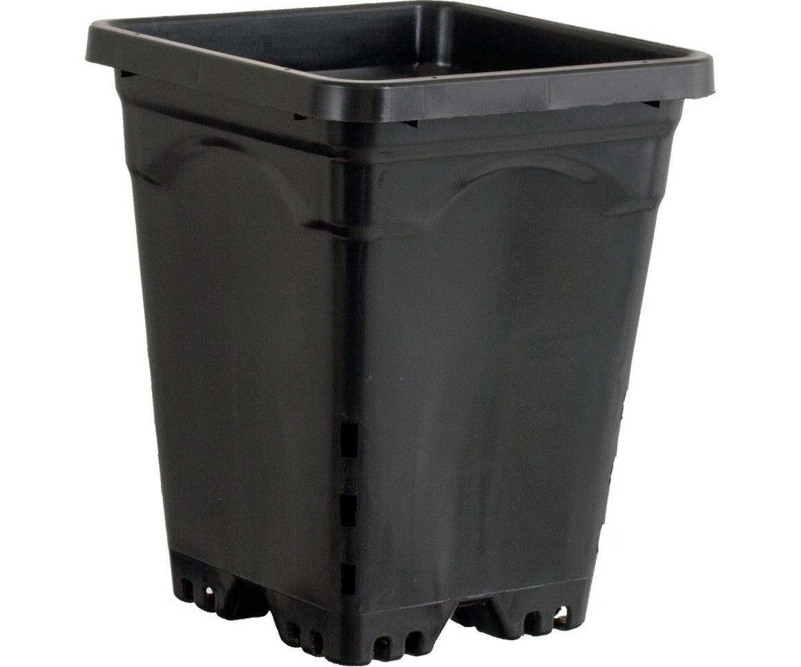 Square black plastic nursery pot with drainage holes at the bottom and reinforced rim.