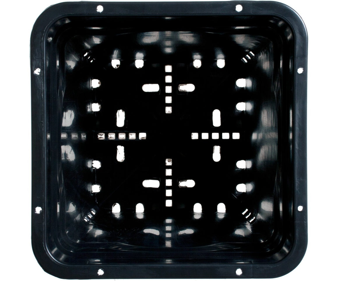 Square black plastic pot with drainage holes, 6x6 inch.