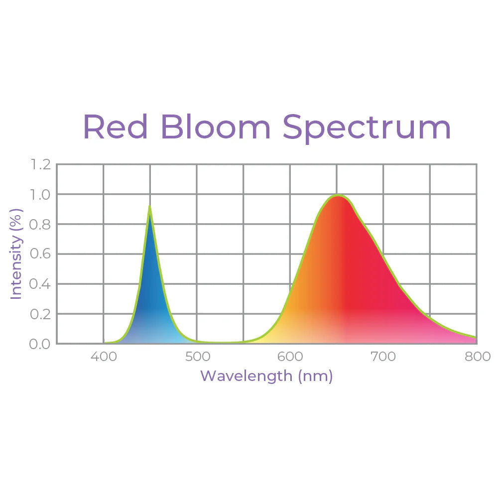 Red Bloom Spectrum graph shows two peaks: blue light around 450nm and red light around 660nm.