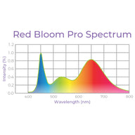 Red Bloom Pro Spectrum graph showing intensity vs wavelength, peaking in blue and red light.