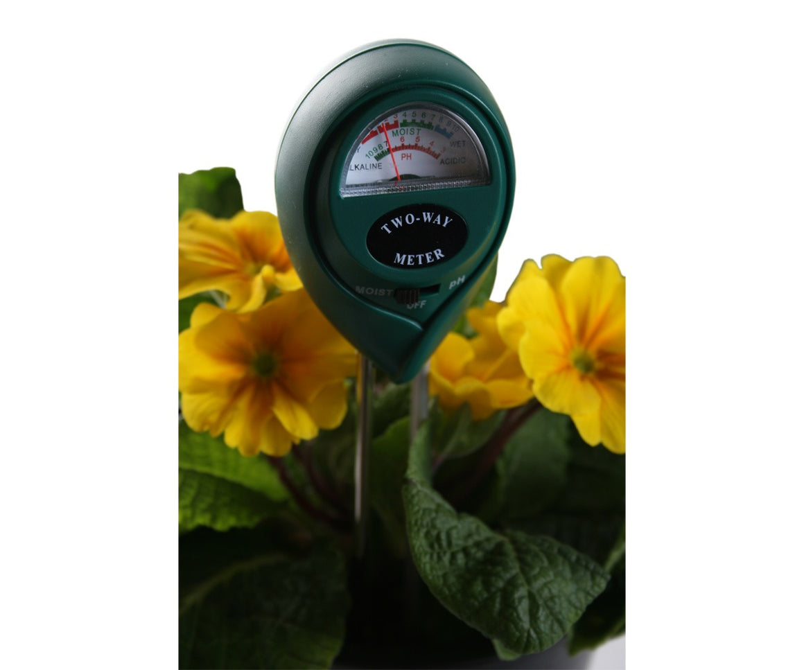 Green 2-way moisture and pH meter in yellow primrose plant.
