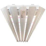 Active Grow T5 HO 2.0 4FT 4-lamp LED grow light fixture, emitting white and pink Sun White Pro Spectrum light.