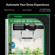 VIVOSUN grow tent with LED light, inline fan, carbon filter, oscillating fan, and cherry plants.