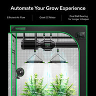 VIVOSUN automated grow tent showing cannabis plants, LED lights, inline fan, climate controller, and clip-on fan.