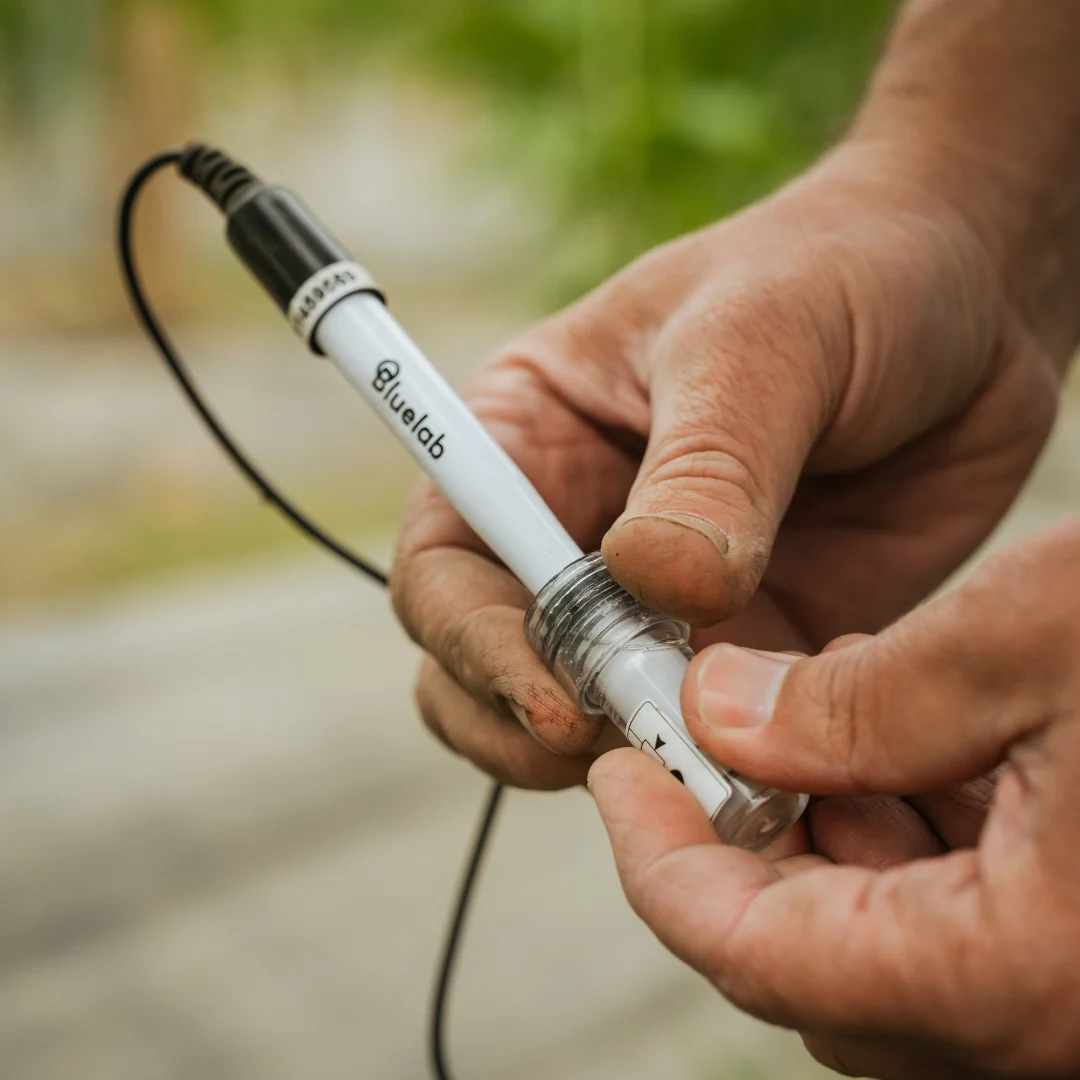 A person holds a white Bluelab soil pH probe with a black cable.