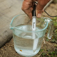A hand holds a Bluelab pH probe in a beaker of clear liquid.