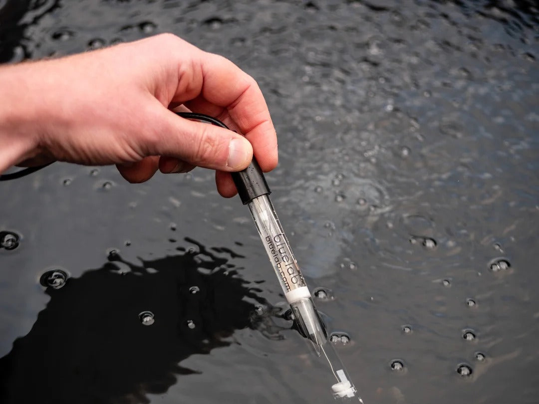 Hand holds Bluelab pH probe in dark water with bubbles.
