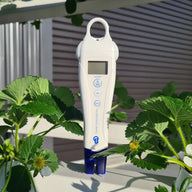White Bluelab Conductivity Pen with display and buttons surrounded by lush green strawberry plants.