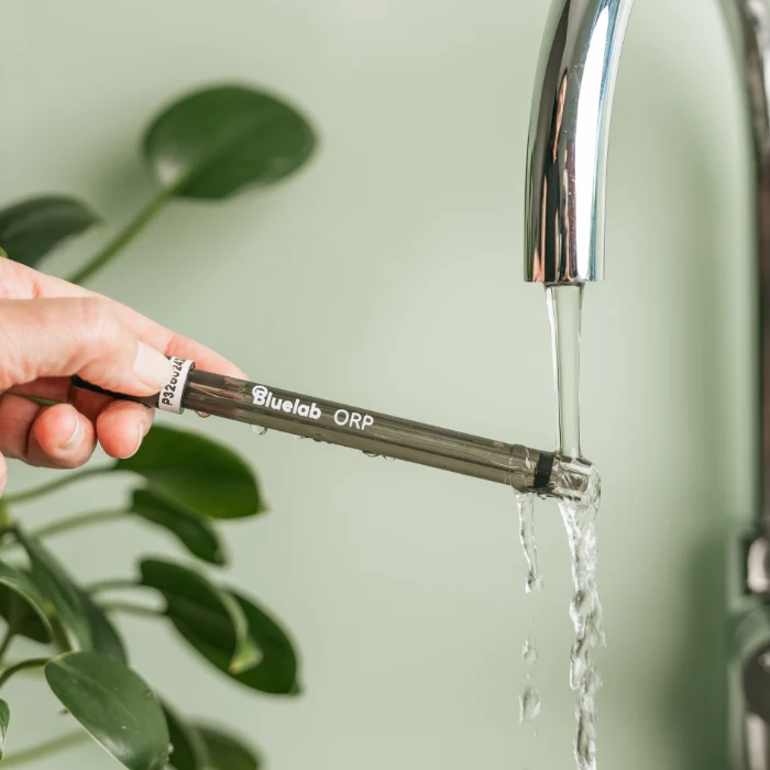 A hand holds a Bluelab ORP meter under a running faucet, water washing over the probe.