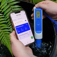 A person holds a Bluelab OnePen and a smartphone displaying water measurement data near a fern.