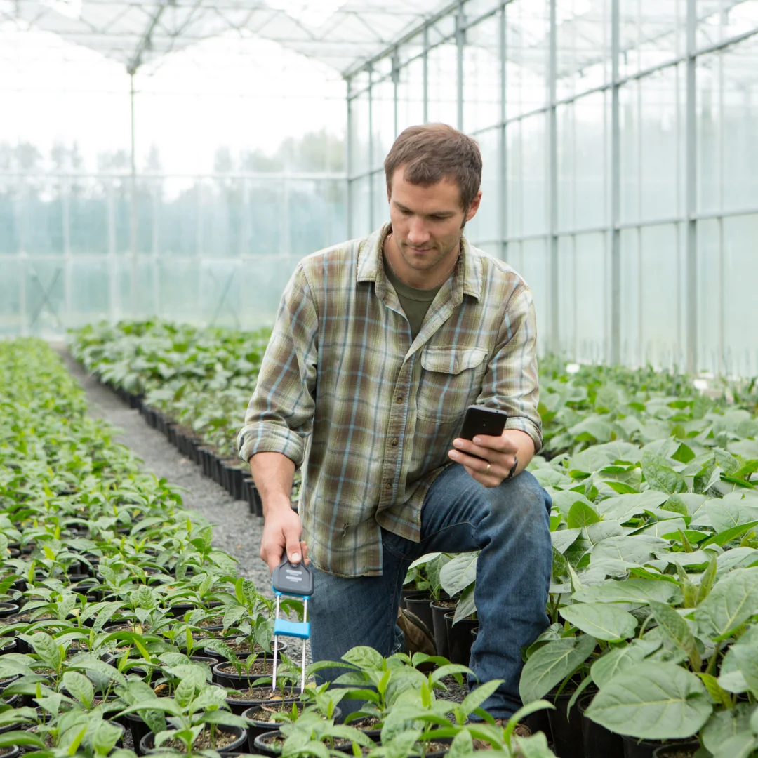 Farmer using Bluelab EC-MC meter and smartphone in greenhouse.