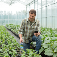 Farmer using Bluelab EC-MC meter and smartphone in greenhouse.