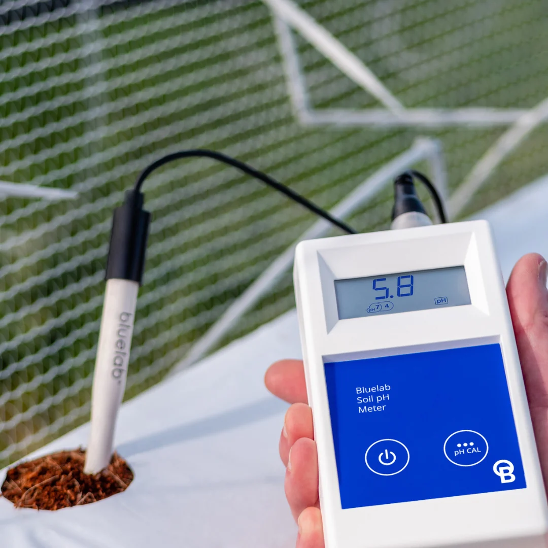 Close-up of a Bluelab soil pH meter in use, displaying 5.8 pH.