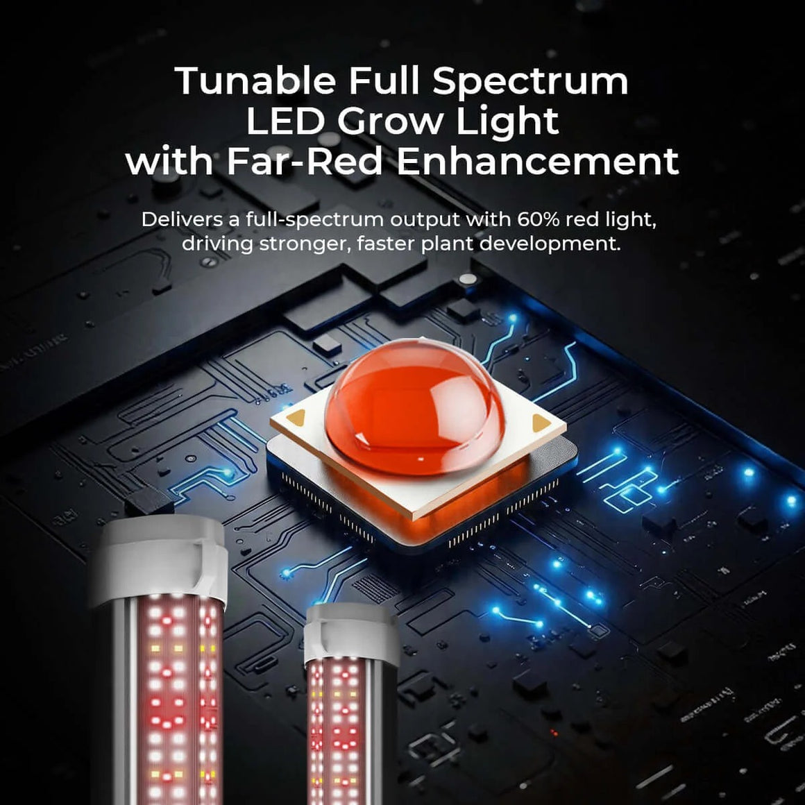 Red and white LED grow light tubes & single large orange LED on circuit board.