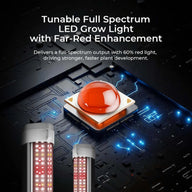 Red and white LED grow light tubes & single large orange LED on circuit board.
