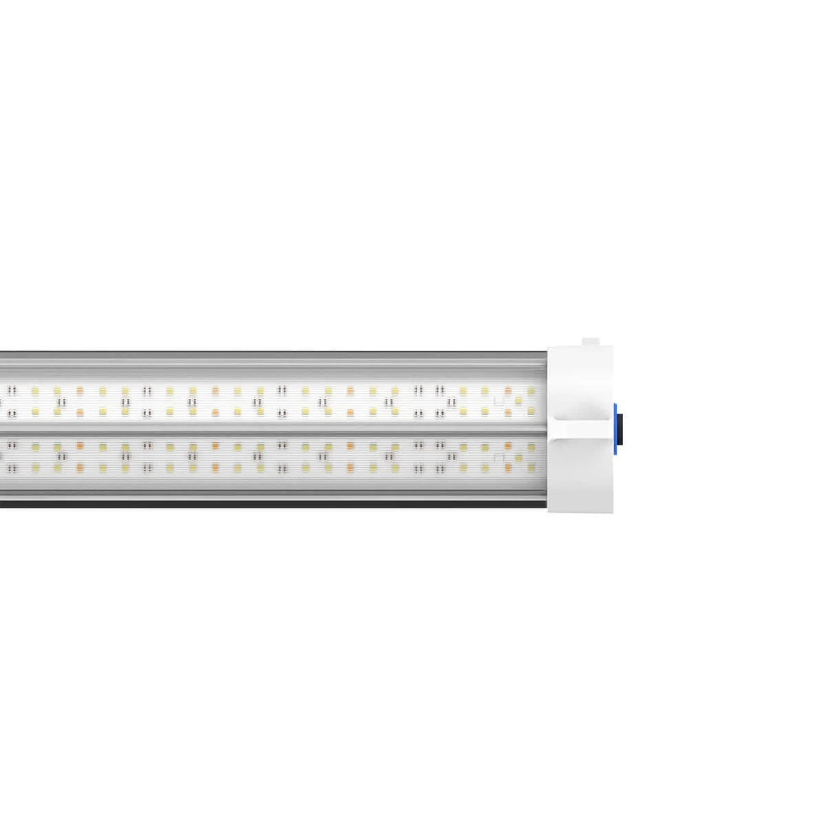 Dual LED grow light with dual rows of white and orange LEDs for deep plant growth.